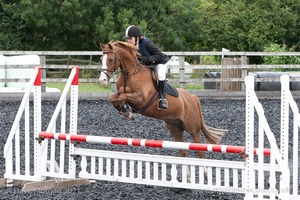 Class 7 - Fences 3' to 3'3